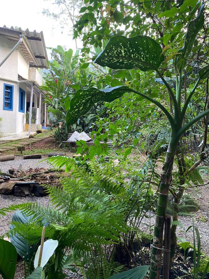 Casa Dos Ventos - Refugio, Sustentabilidade, Conexao Ubatuba Bagian luar foto