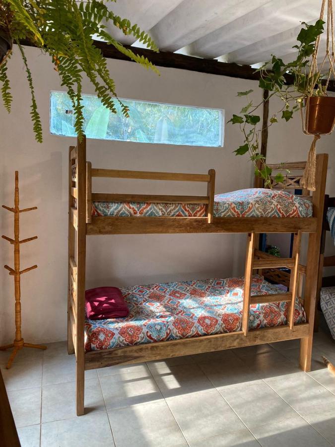 Casa Dos Ventos - Refugio, Sustentabilidade, Conexao Ubatuba Bagian luar foto